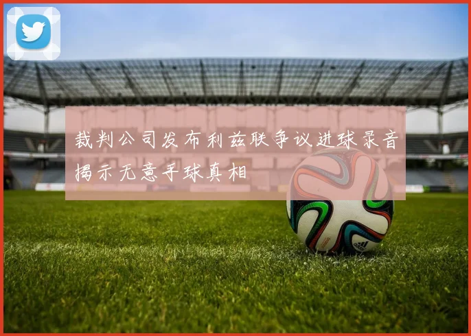 裁判公司发布利兹联争议进球录音揭示无意手球真相