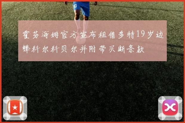 霍芬海姆官方宣布租借多特19岁边锋科尔科贝尔并附带买断条款