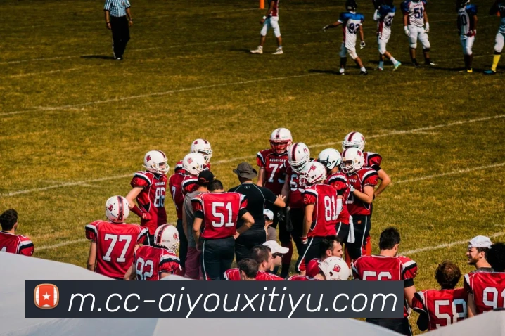 爱游戏体育APP 高清赛事图